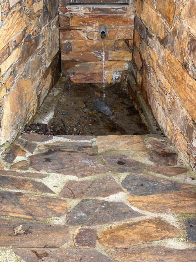 Isabel House Alojamento Rural بامبيلهوسا دا سيرا المظهر الخارجي الصورة